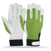 Batting Gloves TB-2016